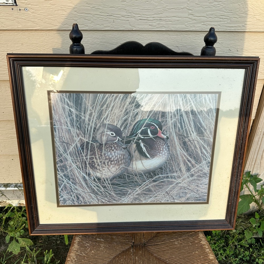 Bruce Langton Signed Numbered Wood Duck Print Hidden Woodies Framed Wildlife Art